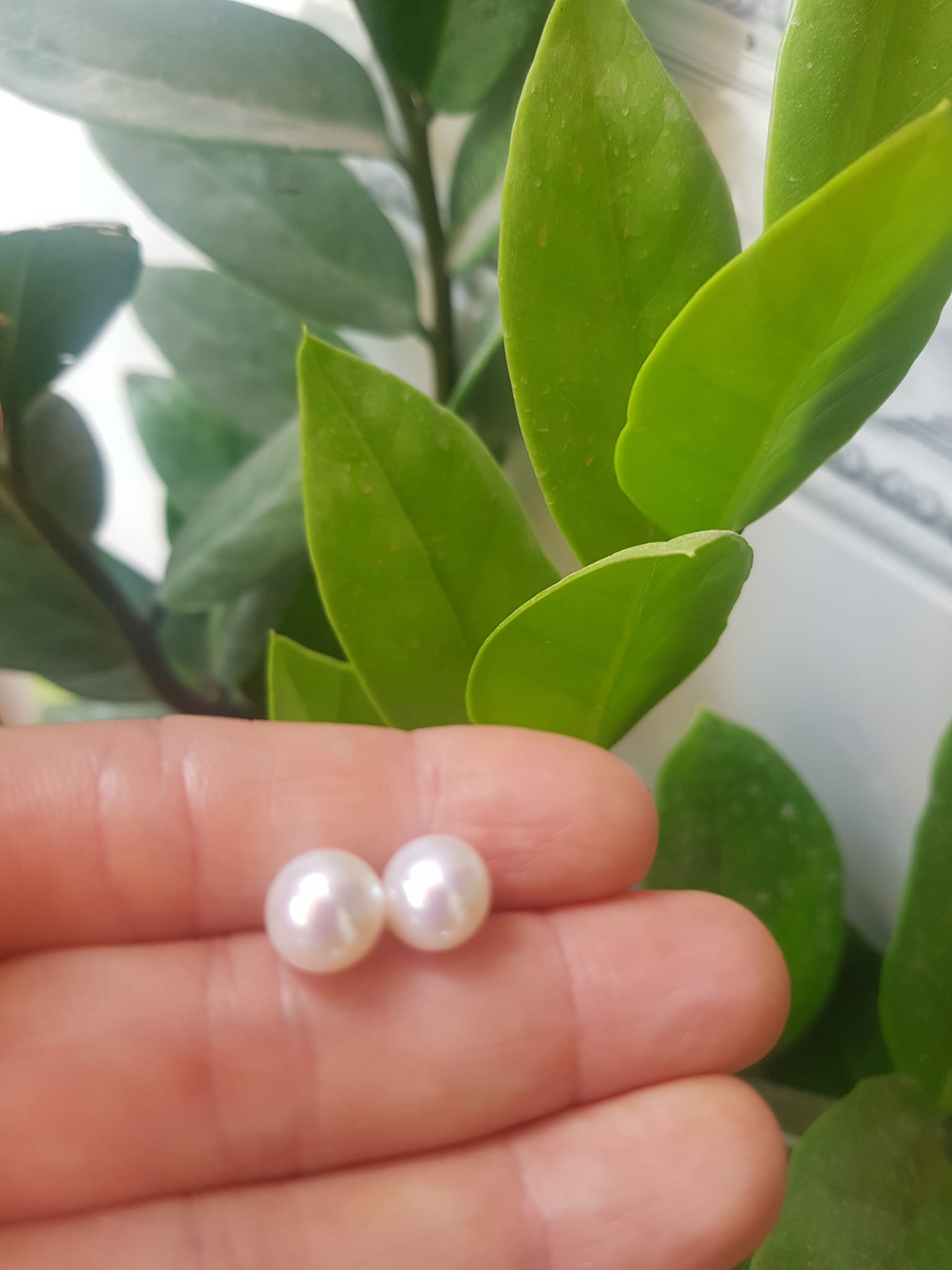 Đôi Bông Ngọc Trai Cao Cấp Bóng Đẹp Cặp Bông tai màu Trắng Bóng size 8mm vừa đẹp Nữ Bọc Vàng đeo lên tay vừa đẹp vừa sang ạ