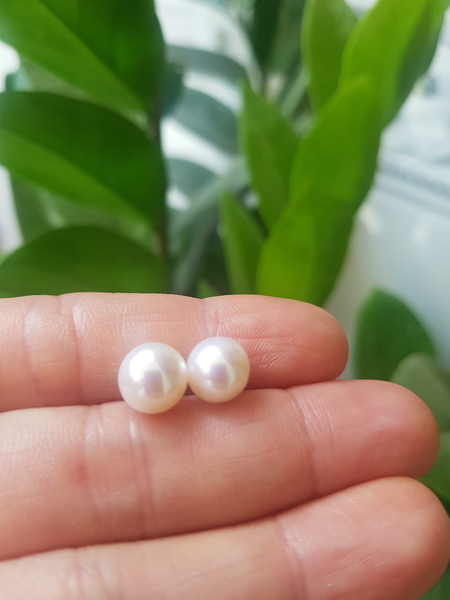 Đôi Bông Ngọc Trai Cao Cấp Bóng Đẹp Cặp Bông tai màu Trắng Bóng size 8mm vừa đẹp Nữ Bọc Vàng đeo lên tay vừa đẹp vừa sang ạ