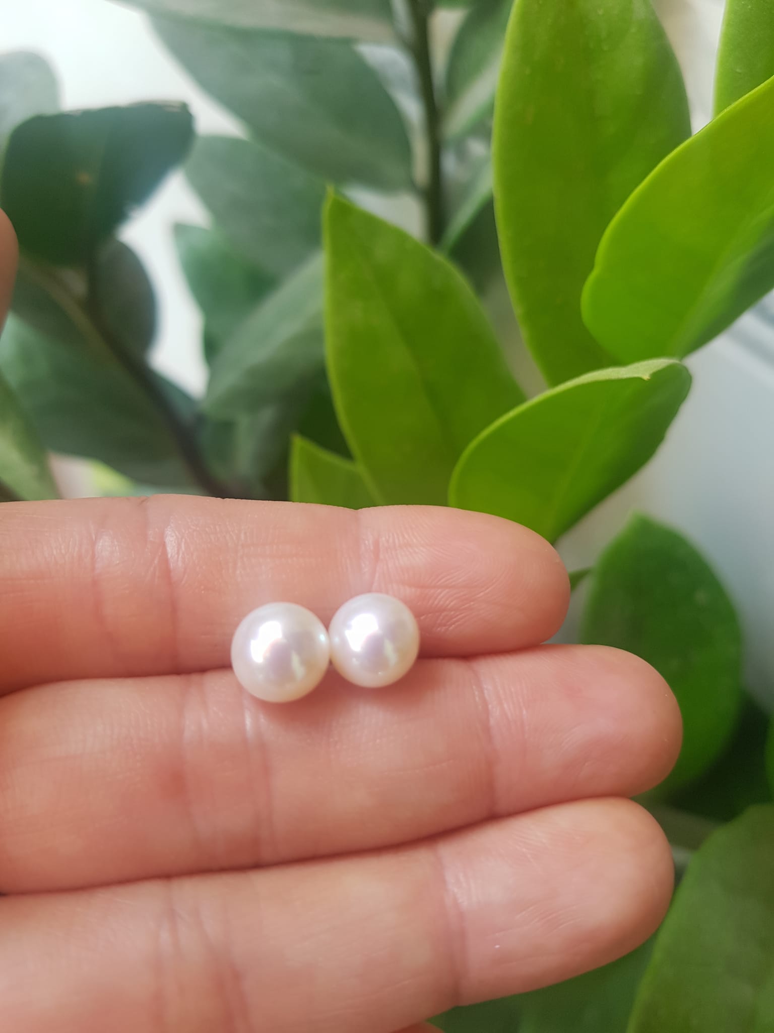 Đôi Bông Ngọc Trai Cao Cấp Bóng Đẹp Cặp Bông tai màu Trắng Bóng size 8mm vừa đẹp Nữ Bọc Vàng đeo lên tay vừa đẹp vừa sang ạ