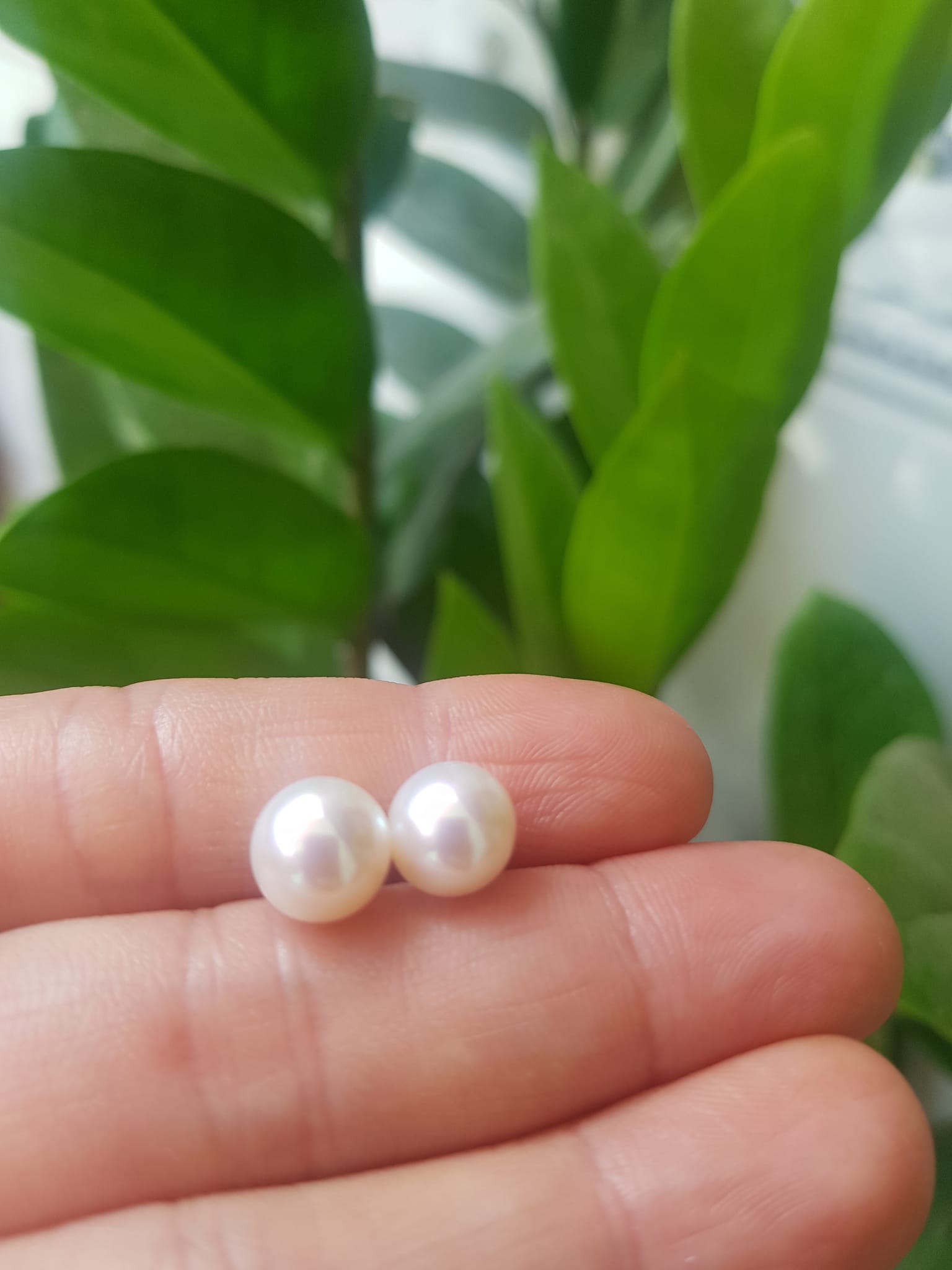 Đôi Bông Ngọc Trai Cao Cấp Bóng Đẹp Cặp Bông tai màu Trắng Bóng size 8mm vừa đẹp Nữ Bọc Vàng đeo lên tay vừa đẹp vừa sang ạ