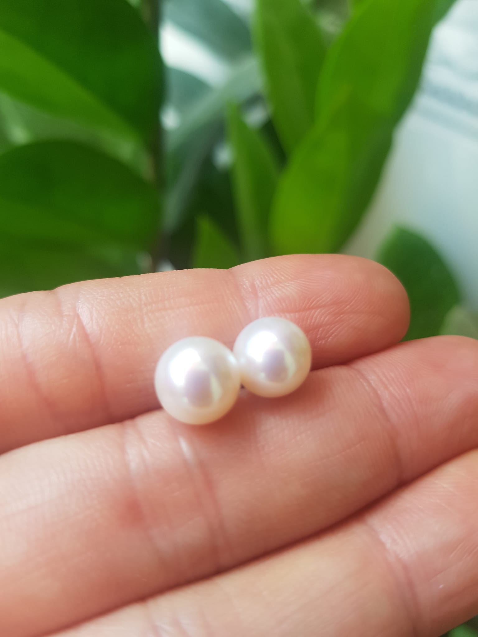 Đôi Bông Ngọc Trai Cao Cấp Bóng Đẹp Cặp Bông tai màu Trắng Bóng size 8mm vừa đẹp Nữ Bọc Vàng đeo lên tay vừa đẹp vừa sang ạ