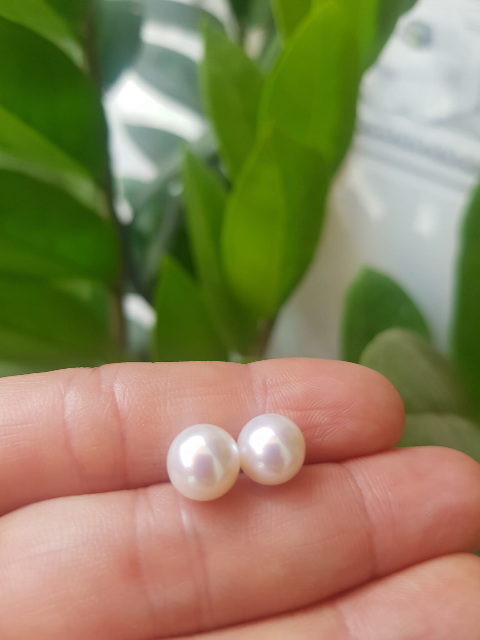 Đôi Bông Ngọc Trai Cao Cấp Bóng Đẹp Cặp Bông tai màu Trắng Bóng size 8mm vừa đẹp Nữ Bọc Vàng đeo lên tay vừa đẹp vừa sang ạ