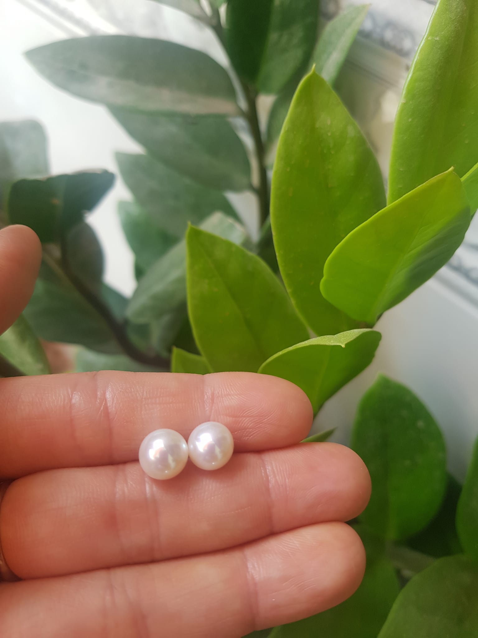 Đôi Bông Ngọc Trai Cao Cấp Bóng Đẹp Cặp Bông tai màu Trắng Bóng size 8mm vừa đẹp Nữ Bọc Vàng đeo lên tay vừa đẹp vừa sang ạ