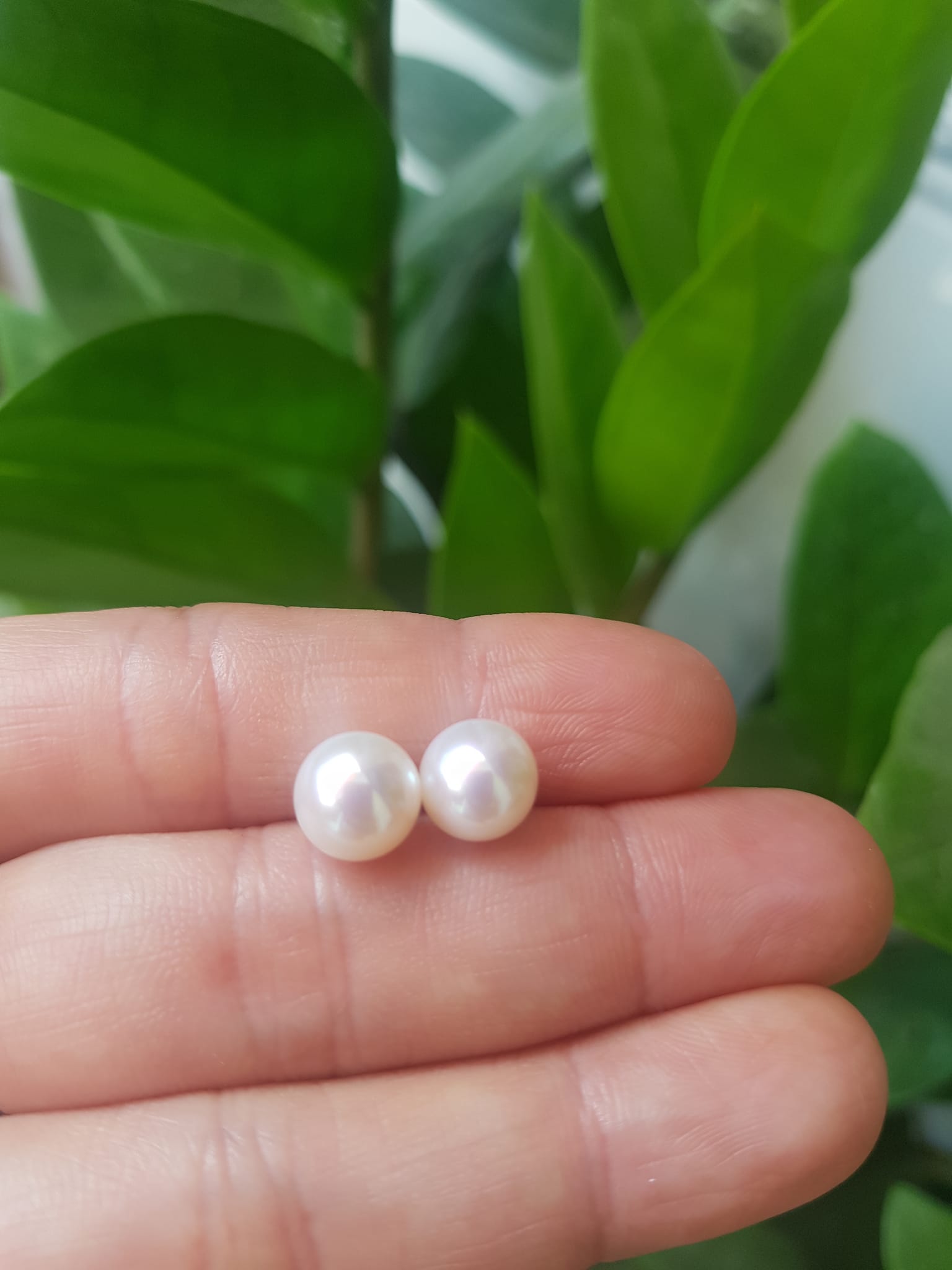 Đôi Bông Ngọc Trai Cao Cấp Bóng Đẹp Cặp Bông tai màu Trắng Bóng size 8mm vừa đẹp Nữ Bọc Vàng đeo lên tay vừa đẹp vừa sang ạ