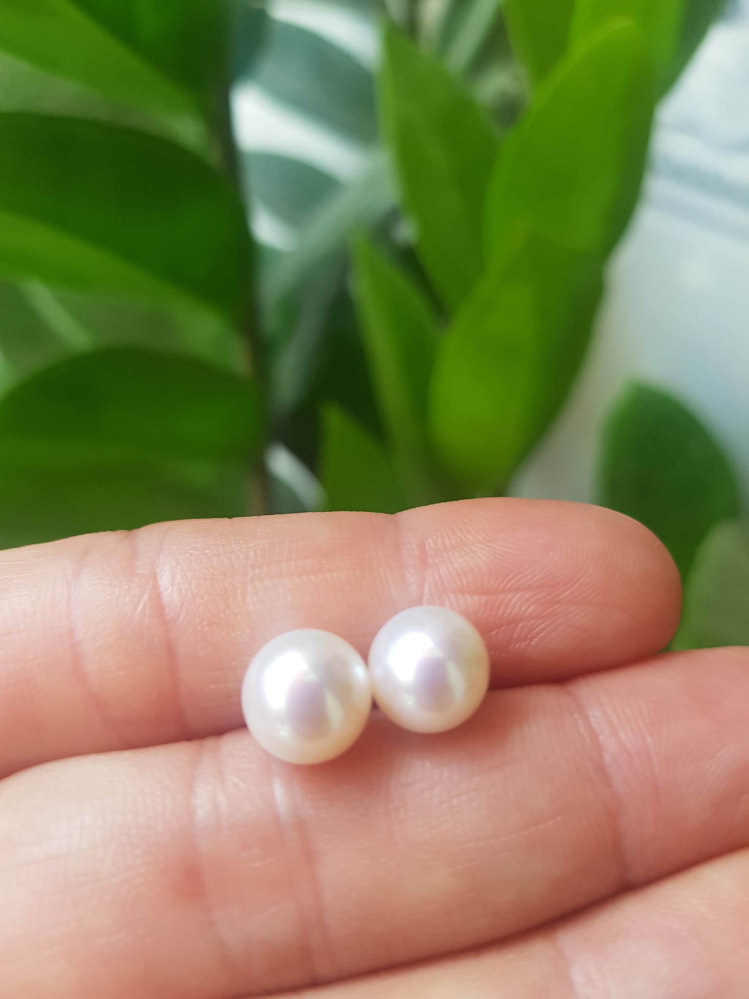 Đôi Bông Ngọc Trai Cao Cấp Bóng Đẹp Cặp Bông tai màu Trắng Bóng size 8mm vừa đẹp Nữ Bọc Vàng đeo lên tay vừa đẹp vừa sang ạ