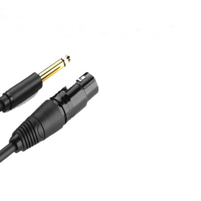 Cáp chuyển đổi Audio từ 6.5 Ugreen ra AV canon âm cho microphone, stereo, mixer, amplifier, camera environment - Hàng Chính Hãng