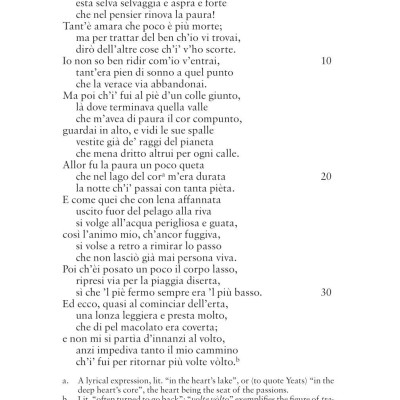 Inferno: Dual Language And New Verse Translation