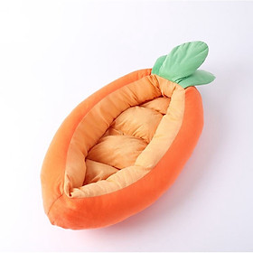 ổ nệm chó mèo cà rốt , nệm thú cưng