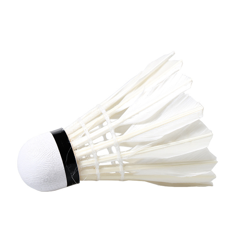 Hộp 6 cầu cầu lông AOLIKES S1006C
