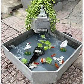 Hồ cá ban công, hồ cá thủy sinh, hồ cá tiểu cảnh, hồ cá sân vườn , bể cá ban công, hồ cá phong thủy, Hồ cá tiểu cảnh sân vườn, Hồ cá thủy sinh đá tự nhiên, hồ cá mini