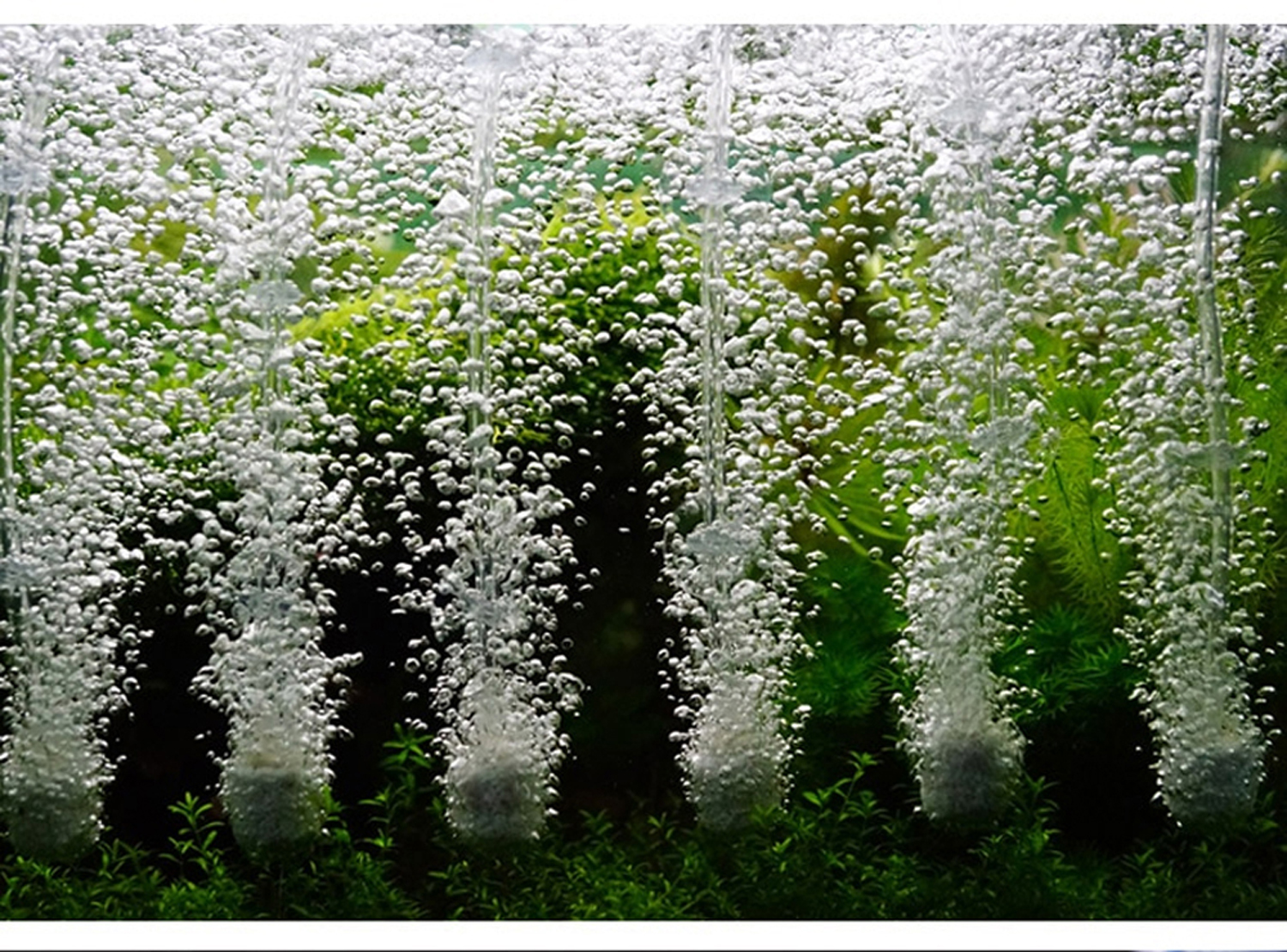 8M Dây Sủi Oxy | Dây Dẫn Khí CO2 Trong Suốt, Cho Hồ Cá Cảnh, Hồ Thủy Sinh Cao Cấp