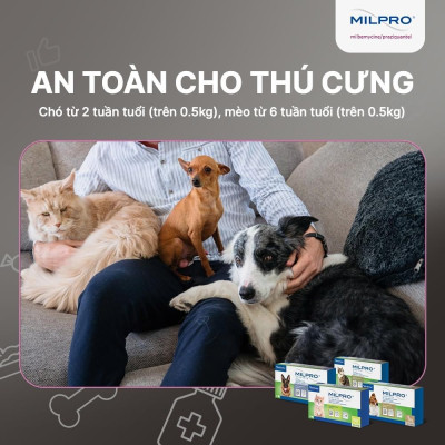 Virbac Milpro xổ giun sán chó mèo (sản xuất tại Pháp)