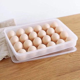 bộ 2 khay đựng trứng 24 quả Song Long- tặng kèm 2 đĩa phíp hình chiếc lá xinh xắn