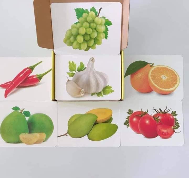 Bộ 100 Thẻ Học Thông Minh Cho Bé, Flashcard Song Ngữ Cho Bé Với 14 Chủ Đề Thế Giới Xunh Quanh Khổ A5 21x15cm