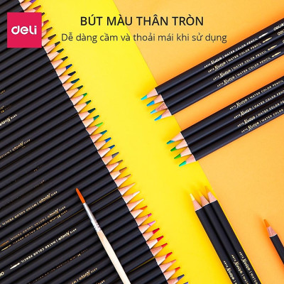 Bút chì màu cao cấp Deli dạng cốc - 24 màu/36 màu/72 màu - 68100/68101/68114
