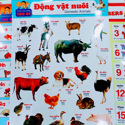 ￼Tranh lò xo- Bộ Tranh Treo Tường 6 Tờ 12 Chủ Đề dành cho bé (Song ngữ Việt Anh)