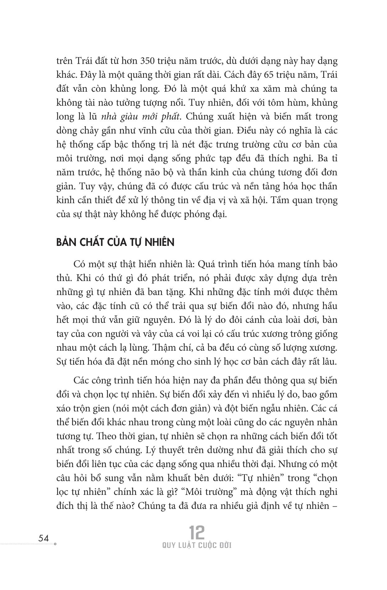 12 Quy Luật Cuộc Đời: Thần Dược Cho Cuộc Sống Hiện Đại