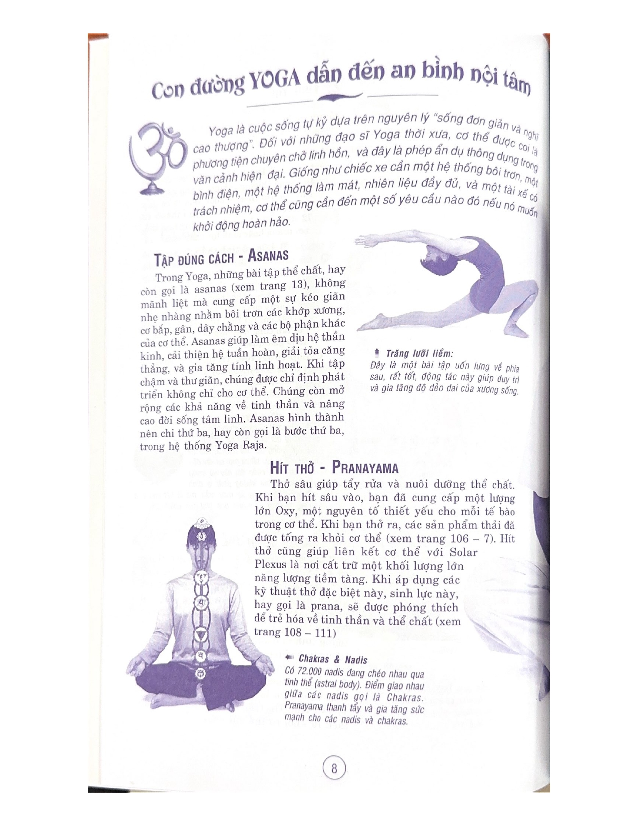 Yoga Tinh Thần Và Thể Chất