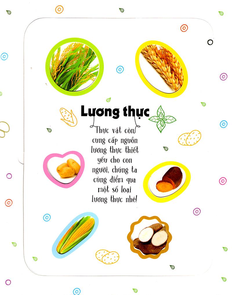 Sách Tương Tác - Lift-The-Flap - First 100 Plants - 100 Từ Đầu Tiên Về Thế Giới Thực Vật (Tái Bản)
