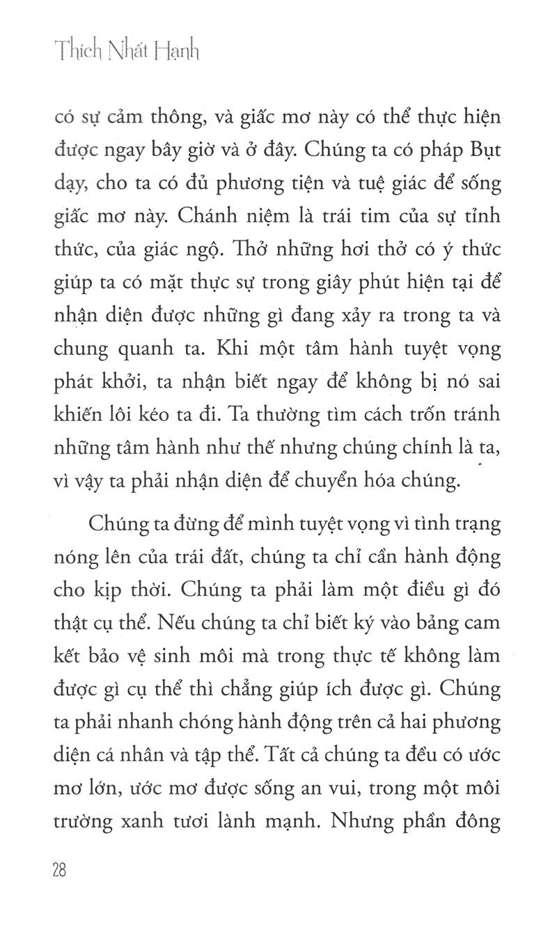 Hướng Đi Của Đạo Bụt Cho Hòa Bình Và Sinh Môi (Tái Bản 2020)