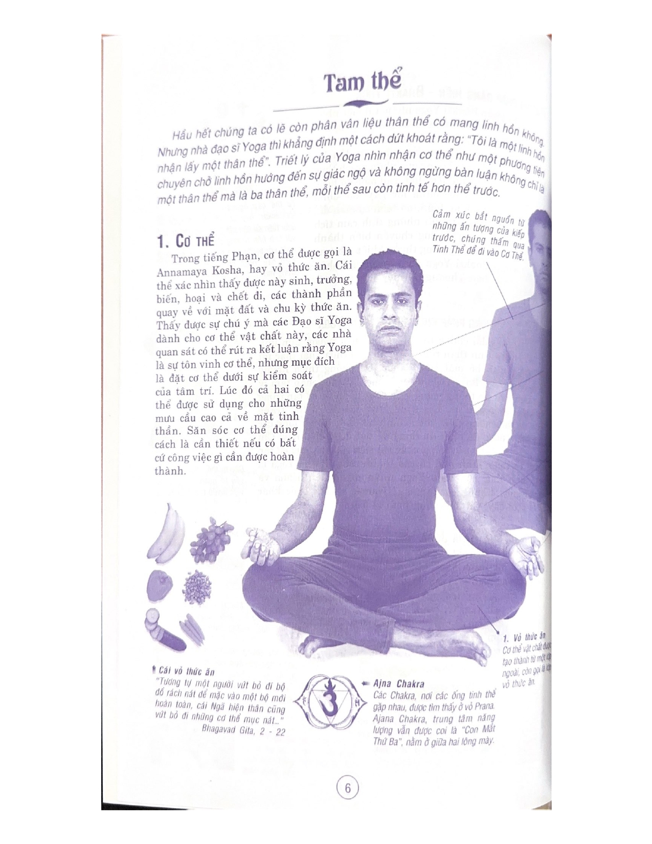 Yoga Tinh Thần Và Thể Chất