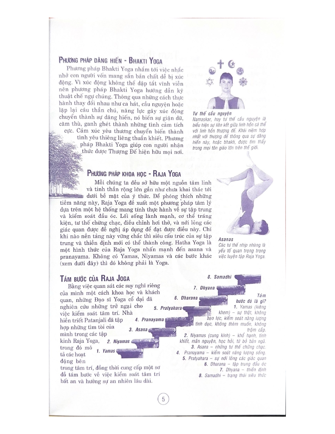 Yoga Tinh Thần Và Thể Chất