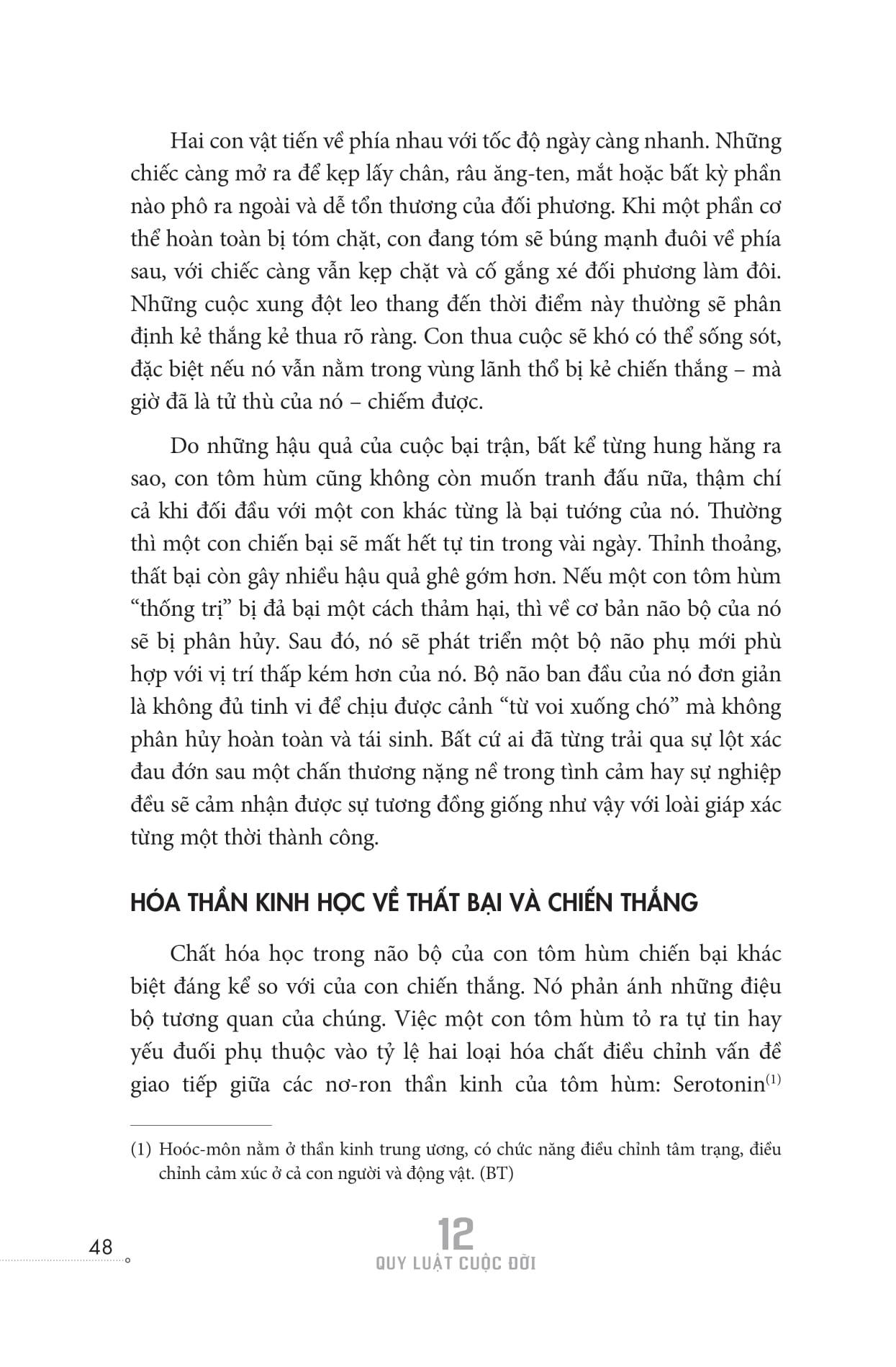 12 Quy Luật Cuộc Đời: Thần Dược Cho Cuộc Sống Hiện Đại