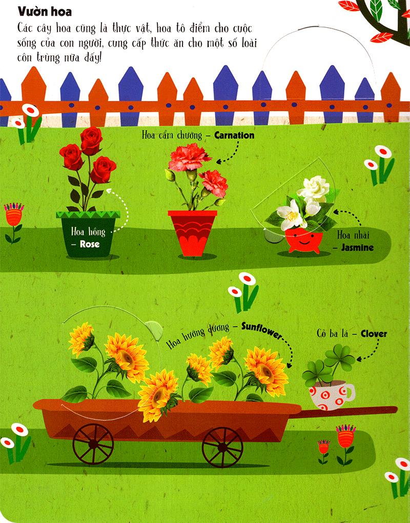 Sách Tương Tác - Lift-The-Flap - First 100 Plants - 100 Từ Đầu Tiên Về Thế Giới Thực Vật (Tái Bản)