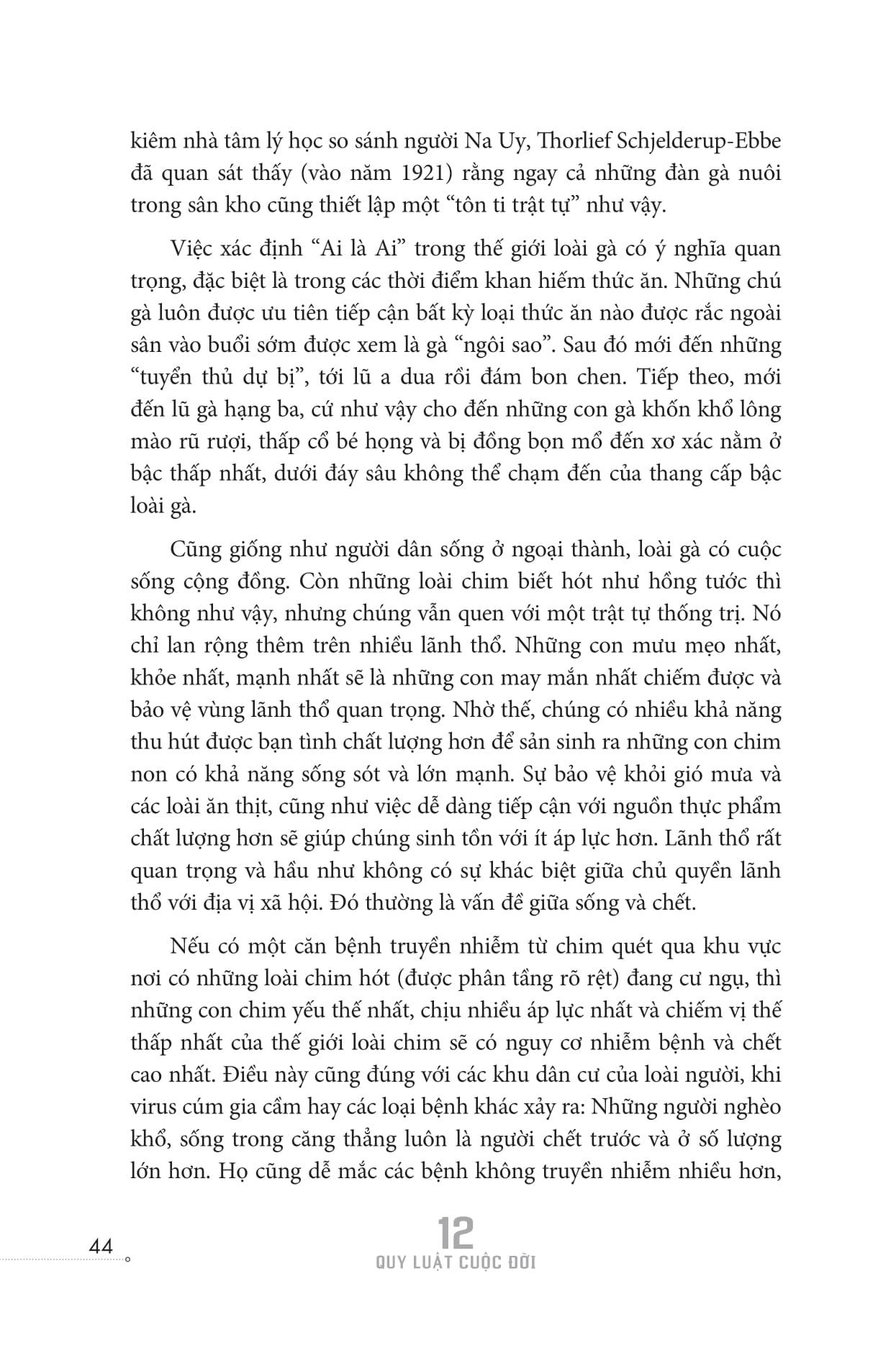 12 Quy Luật Cuộc Đời: Thần Dược Cho Cuộc Sống Hiện Đại