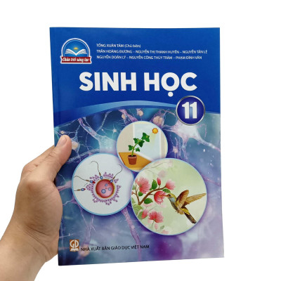 Sinh Học 11 (Chân Trời Sáng Tạo) (2023)