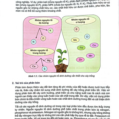 Sách Giáo Khoa Chuyên Đề Học Tập Hóa Học 11 (Kết Nối Tri Thức) (Chuẩn)