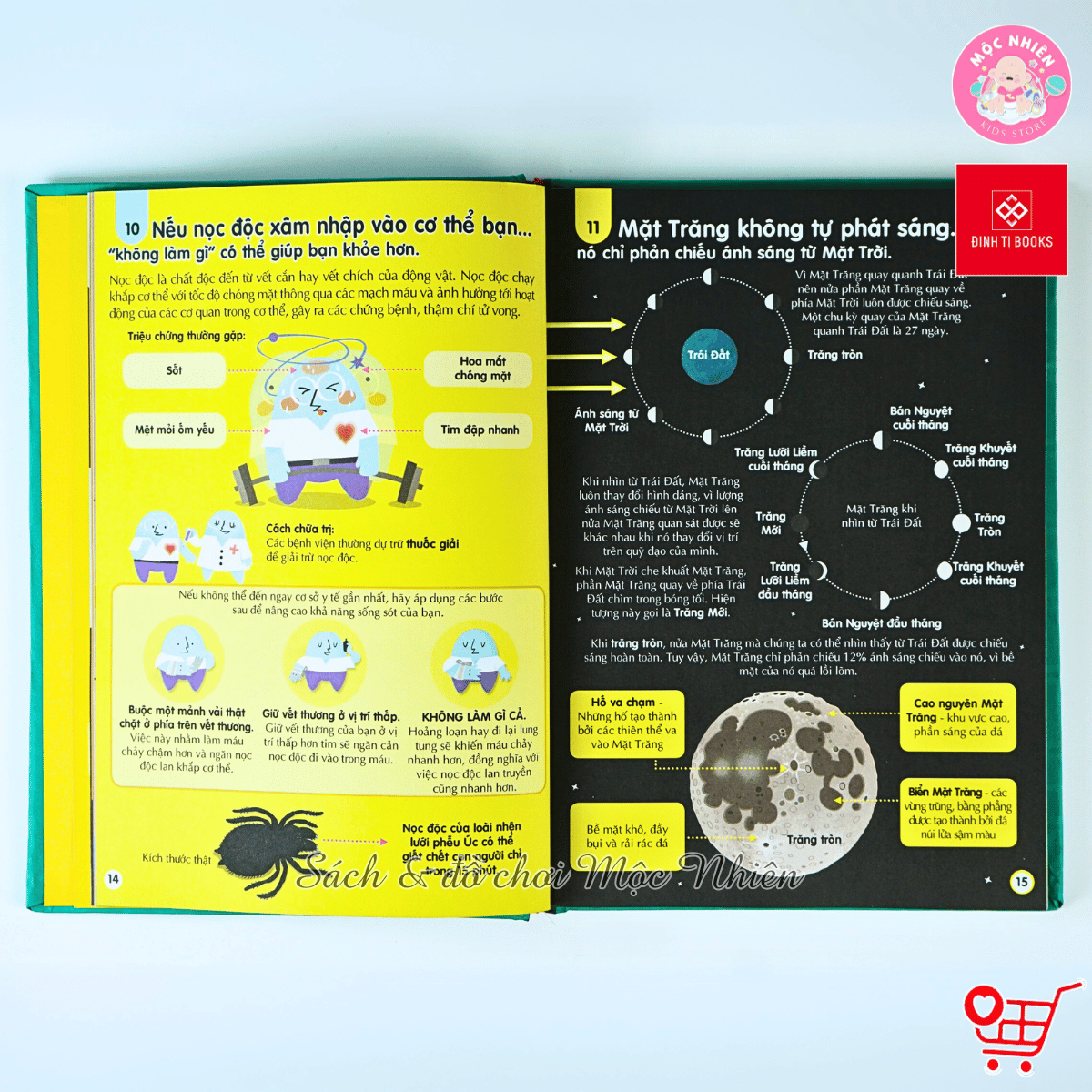 Sách Thiếu Nhi – 100 Bí Ẩn Đáng Kinh Ngạc – Đinh Tị (Nhiều chủ đề)