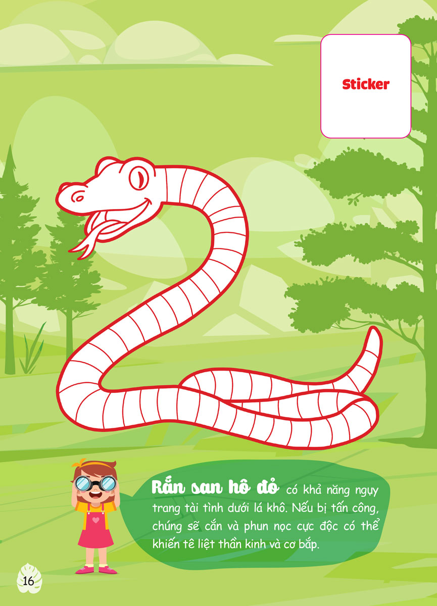 Con Tô Màu - Thám Hiểm Amazon _MEGA