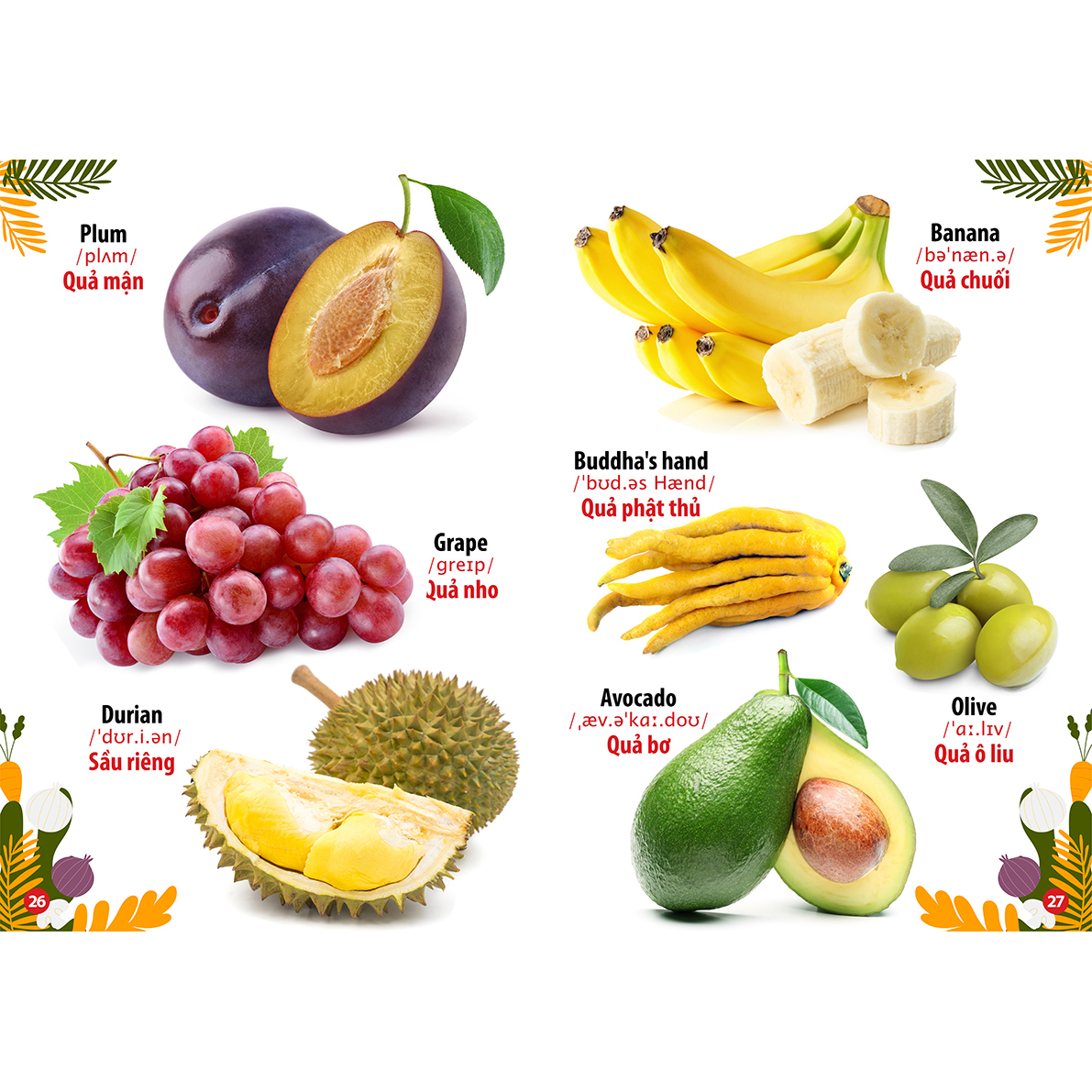 Combo 4 Cuốn: Thế Giới Khủng Long - Thế Giới Loài Chim - Chữ Cái Và Số Đếm - Hoa Rau Củ Quả