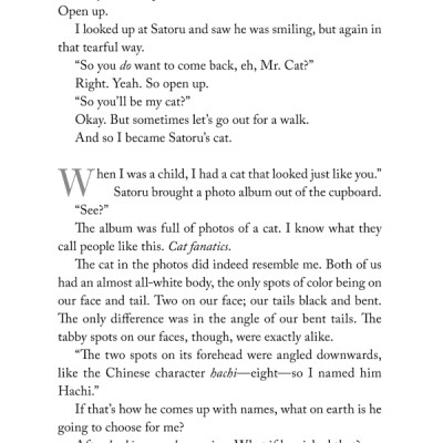 The Travelling Cat Chronicles