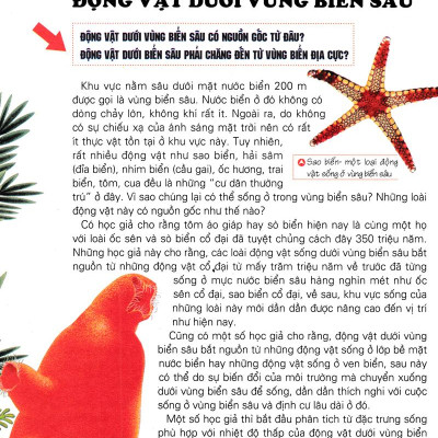 Khám Phá Những Bí Ẩn Về Động Vật (Tái Bản)