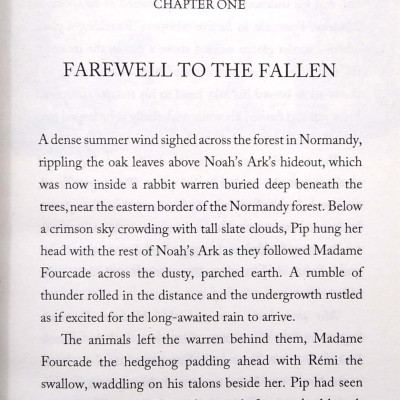 Umbrella Mouse 2: Umbrella Mouse To The Rescue