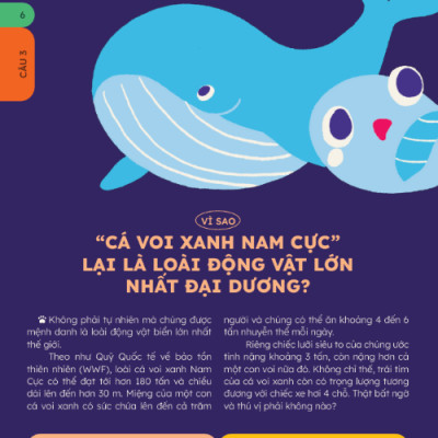 Sách - 10 Vạn Câu Hỏi Vì Sao? - Bộ 5 Cuốn In Màu: Động Vật, Thực Vật, Vũ Trụ Huyền Bí, Cơ Thể Người, Khoa Học Thú V