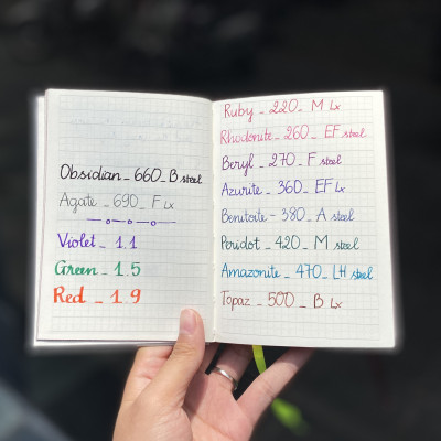 Bút Máy Lamy Safari CANDY Violet 021 (Special Edition)