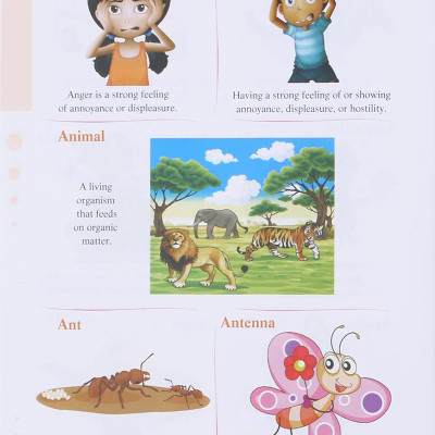 Từ Điển Tiếng Anh Bằng Tranh - My First Picture Dictionary