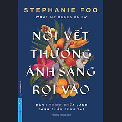 Nơi Vết Thương Ánh Sáng Rọi Vào