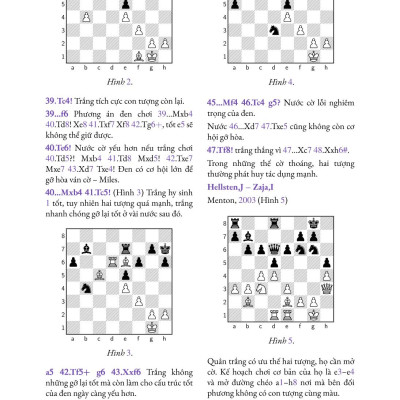 Tạp chí Pi- Hội Toán học Việt Nam số 10/ tháng 10 năm 2020