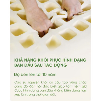 Nệm Cao Su Thiên Nhiên Tatana Cool Fresh, Áo Vải Cooling Làm Mát- Mền Mại, Êm Ái, Độ Đàn Hồi Cao - Bảo hành 12 năm.