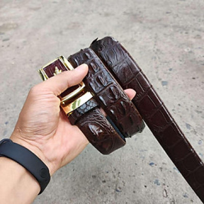 Dây nịt nam gai lưng cá sấu LIỀN NGUYÊN CON N24N2 (Mặt vàng)