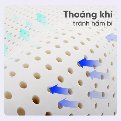 Nệm Cao Su Vạn Thành Standard VTCS1615 (160 x 200 x 15 cm)