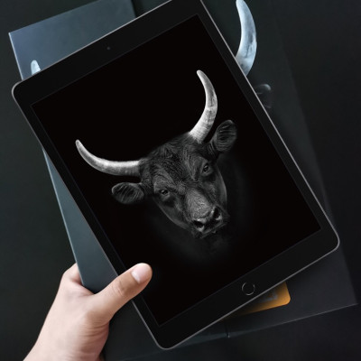 MIẾNG DÁN CƯỜNG LỰC MIPOW KINGBULL PREMIUM HD (2.7D) DÀNH CHO IPAD MINI 6 (8.3 INCH)_ Hàng Chính Hãng