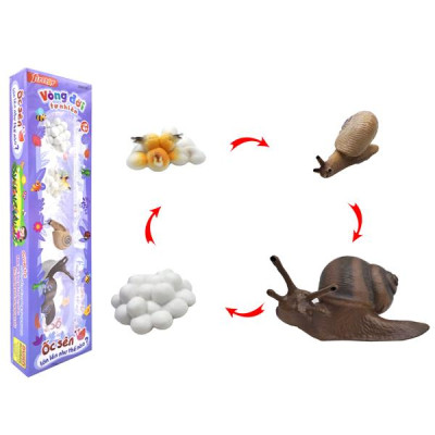 Đồ Chơi Mô Hình Vòng Đời Tự Nhiên - Ốc Sên Lớn Lên Như Thế Nào? - Firstar DK81261