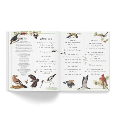 Sách - Atlas các loài chim - Bìa cứng - Đông A