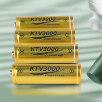Bộ sạc pin Doublepow DP-K66 + 6 pin tiểu sạc AA 3000mAh Hàng Chính Hãng