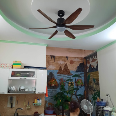 Quạt trần trang trí phòng khách hiện đại - F34